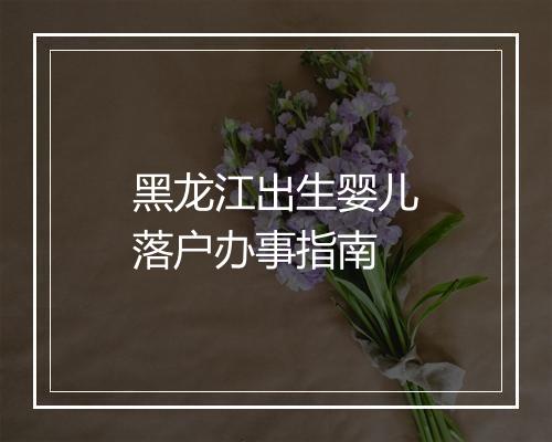 黑龙江出生婴儿落户办事指南