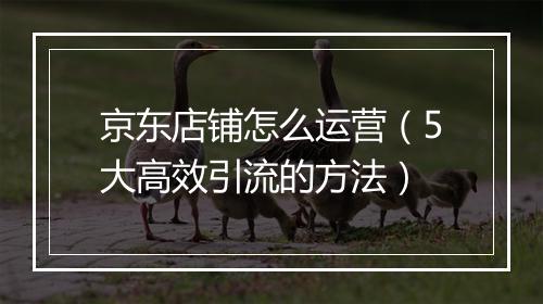 京东店铺怎么运营（5大高效引流的方法）