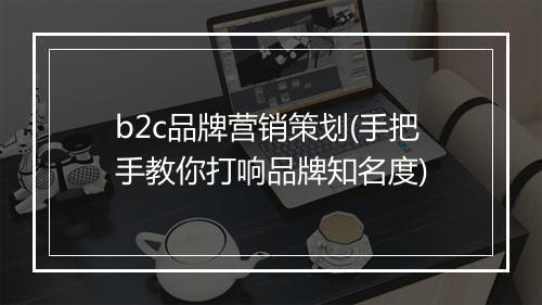 b2c品牌营销策划(手把手教你打响品牌知名度)
