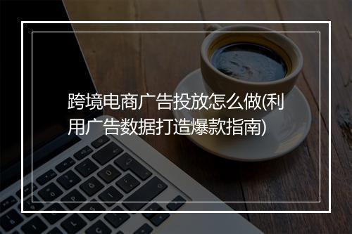 跨境电商广告投放怎么做(利用广告数据打造爆款指南)