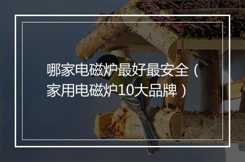 哪家电磁炉最好最安全（家用电磁炉10大品牌）