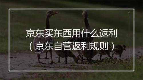 京东买东西用什么返利（京东自营返利规则）