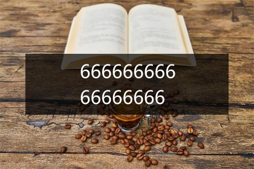 66666666666666666