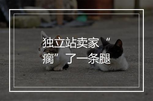 独立站卖家“瘸”了一条腿