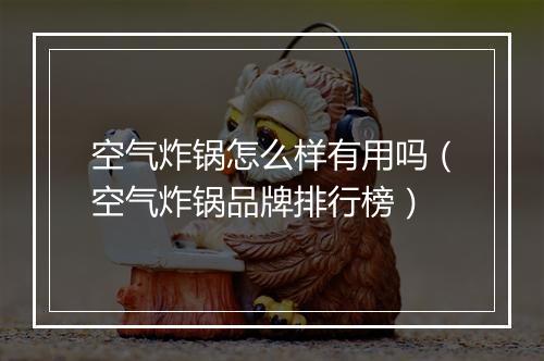 空气炸锅怎么样有用吗（空气炸锅品牌排行榜）