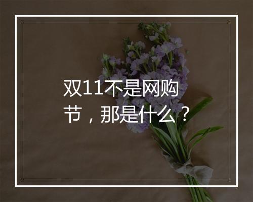 双11不是网购节，那是什么？