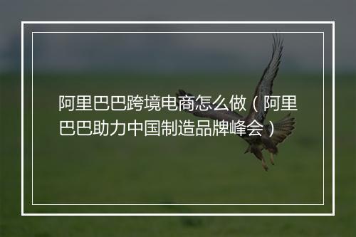 阿里巴巴跨境电商怎么做（阿里巴巴助力中国制造品牌峰会）