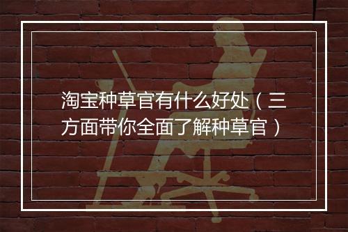 淘宝种草官有什么好处（三方面带你全面了解种草官）