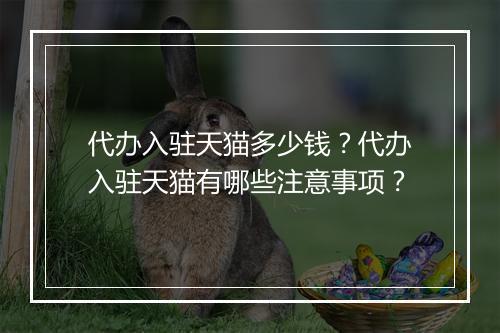 代办入驻天猫多少钱？代办入驻天猫有哪些注意事项？