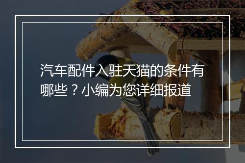汽车配件入驻天猫的条件有哪些？小编为您详细报道