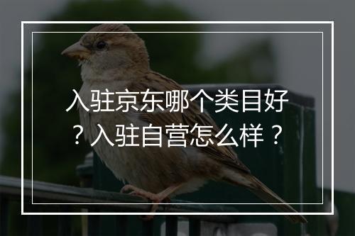 入驻京东哪个类目好？入驻自营怎么样？