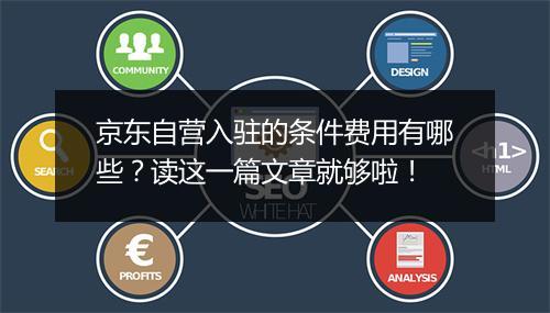 京东自营入驻的条件费用有哪些？读这一篇文章就够啦！