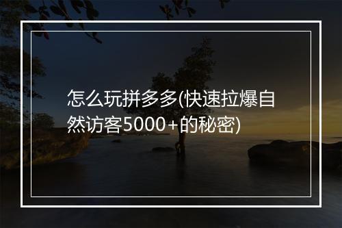 怎么玩拼多多(快速拉爆自然访客5000+的秘密)