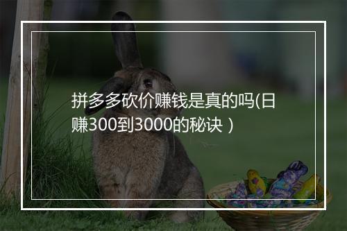 拼多多砍价赚钱是真的吗(日赚300到3000的秘诀）