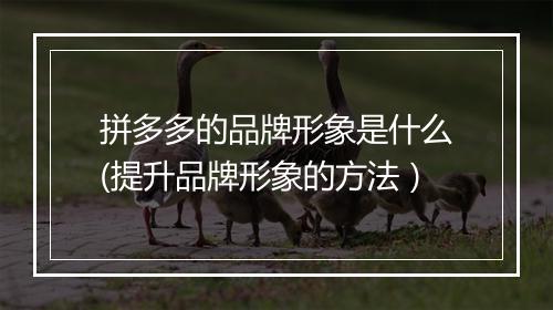 拼多多的品牌形象是什么(提升品牌形象的方法）