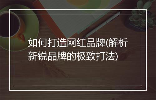 如何打造网红品牌(解析新锐品牌的极致打法)