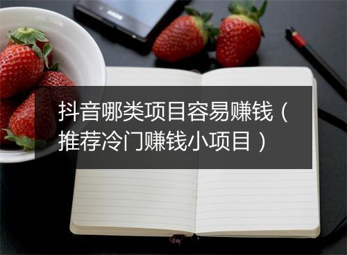 抖音哪类项目容易赚钱（推荐冷门赚钱小项目）