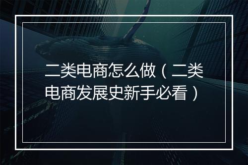 二类电商怎么做（二类电商发展史新手必看）