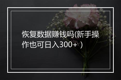 恢复数据赚钱吗(新手操作也可日入300+）
