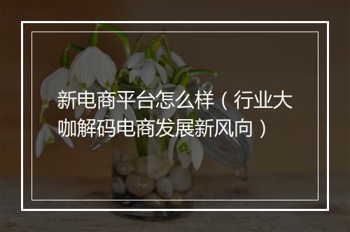 新电商平台怎么样（行业大咖解码电商发展新风向）