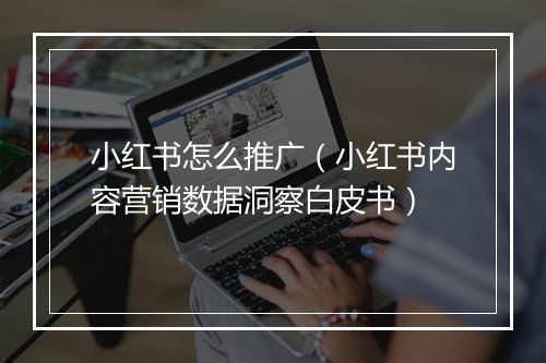 小红书怎么推广（小红书内容营销数据洞察白皮书）