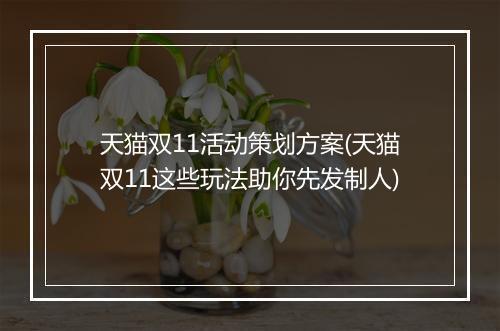 天猫双11活动策划方案(天猫双11这些玩法助你先发制人)