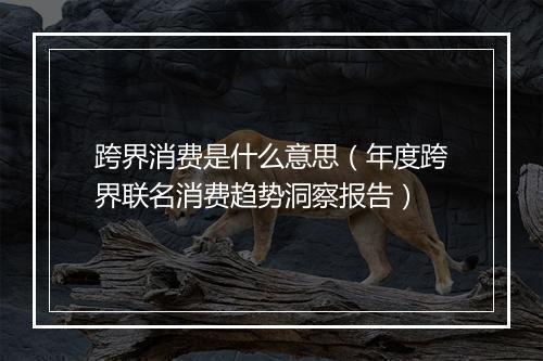 跨界消费是什么意思（年度跨界联名消费趋势洞察报告）