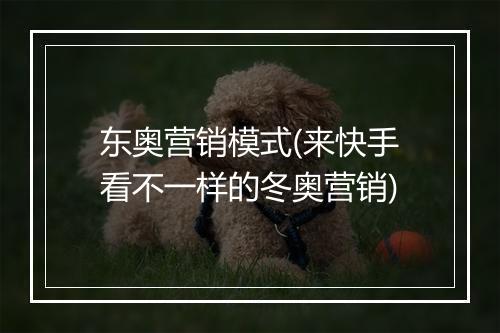 东奥营销模式(来快手看不一样的冬奥营销)