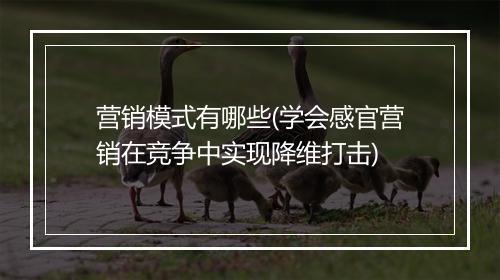 营销模式有哪些(学会感官营销在竞争中实现降维打击)