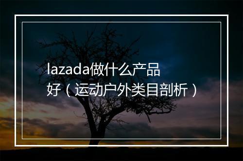 lazada做什么产品好（运动户外类目剖析）