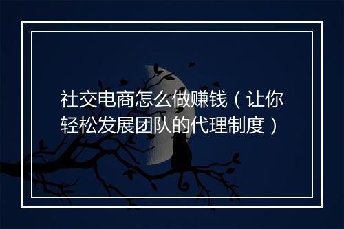 社交电商怎么做赚钱（让你轻松发展团队的代理制度）