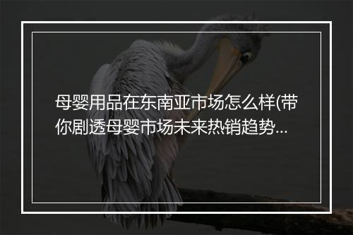 母婴用品在东南亚市场怎么样(带你剧透母婴市场未来热销趋势)