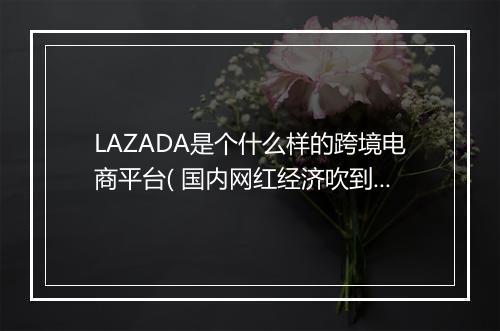 LAZADA是个什么样的跨境电商平台( 国内网红经济吹到泰国)