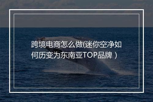跨境电商怎么做(迷你空净如何历变为东南亚TOP品牌）