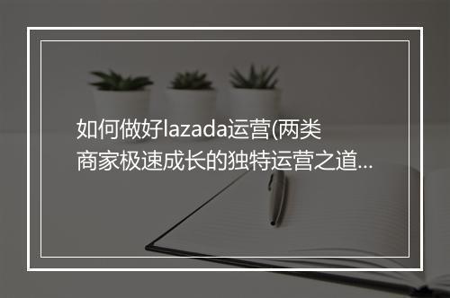 如何做好lazada运营(两类商家极速成长的独特运营之道）