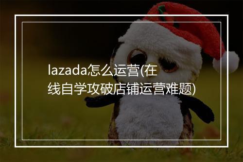 lazada怎么运营(在线自学攻破店铺运营难题)