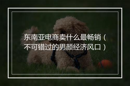 东南亚电商卖什么最畅销（不可错过的男颜经济风口）