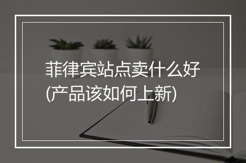 菲律宾站点卖什么好(产品该如何上新)