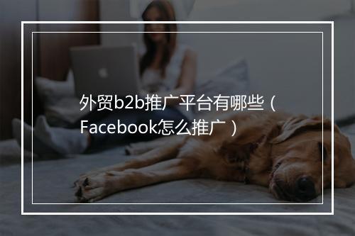 外贸b2b推广平台有哪些（Facebook怎么推广）