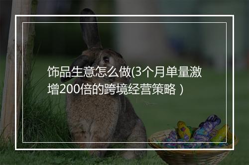 饰品生意怎么做(3个月单量激增200倍的跨境经营策略）