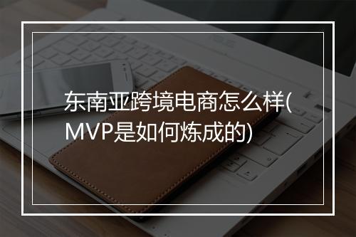 东南亚跨境电商怎么样(MVP是如何炼成的)