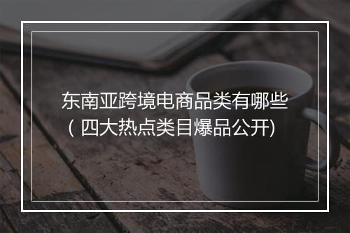 东南亚跨境电商品类有哪些（四大热点类目爆品公开)