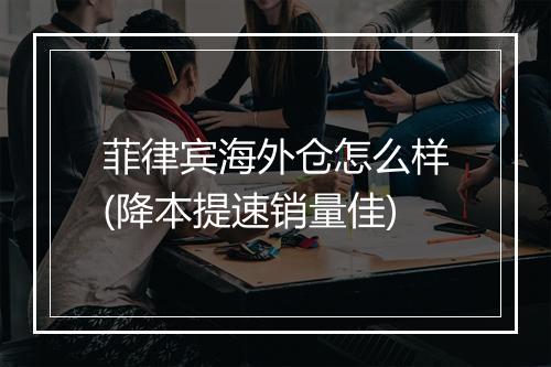 菲律宾海外仓怎么样(降本提速销量佳)
