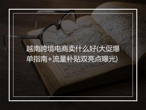 越南跨境电商卖什么好(大促爆单指南+流量补贴双亮点曝光)