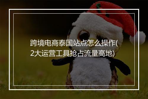 跨境电商泰国站点怎么操作(2大运营工具抢占流量高地)