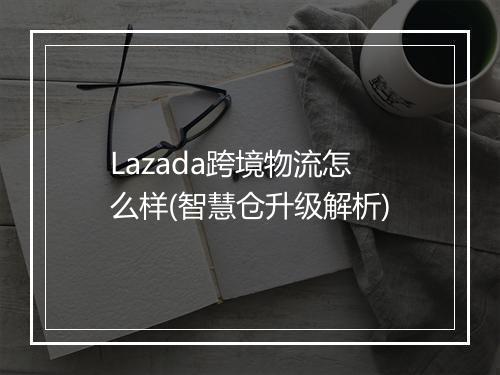 Lazada跨境物流怎么样(智慧仓升级解析)