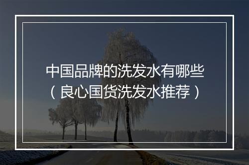 中国品牌的洗发水有哪些（良心国货洗发水推荐）