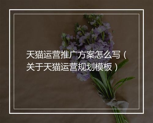 天猫运营推广方案怎么写（关于天猫运营规划模板）