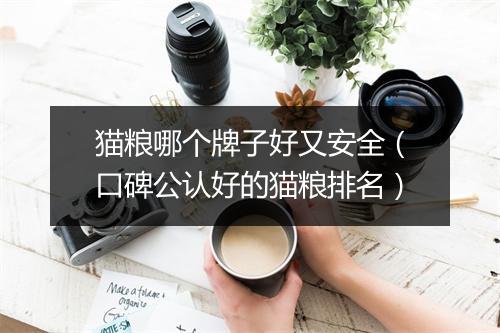 猫粮哪个牌子好又安全（口碑公认好的猫粮排名）