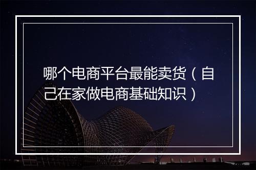 哪个电商平台最能卖货（自己在家做电商基础知识）
